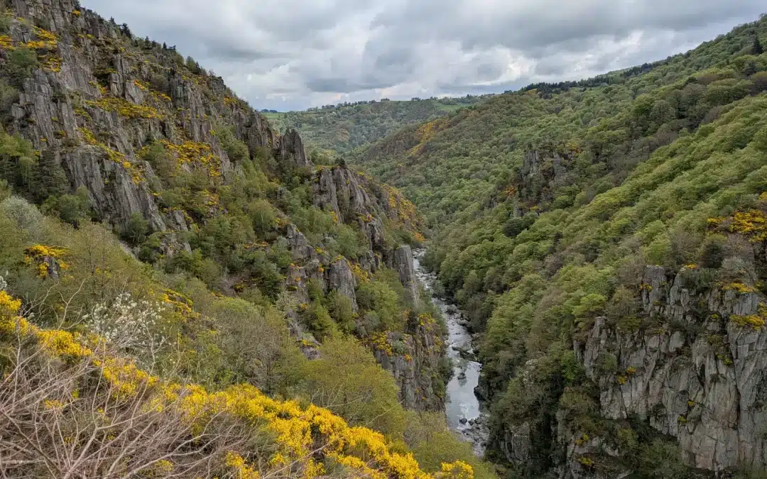 Découverte de l’Aubrac – Mai 2025