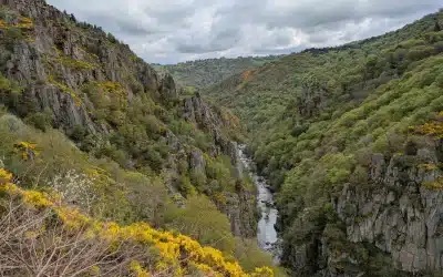 Découverte de l’Aubrac – Mai 2025