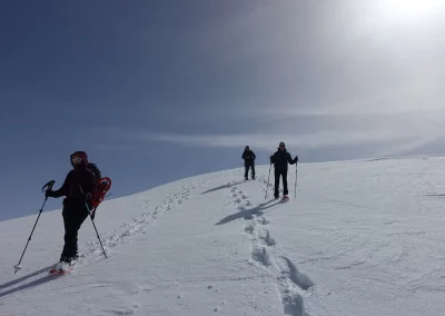Agréable descente en raquettes
