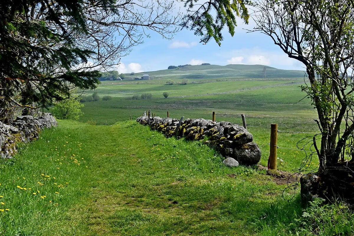 rando causse Mejean